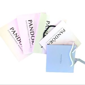 Pandora Paper Gift bags